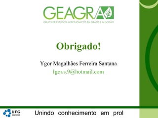 Unindo conhecimento em prol
Ygor Magalhães Ferreira Santana
Igor.s.9@hotmail.com
Obrigado!
 