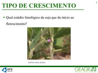  Qual estádio fenológico da soja que da início ao
florescimento?
TIPO DE CRESCIMENTO
4
FONTE:CANAL RURAL
 