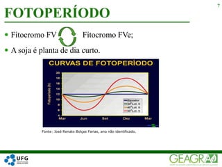  Fitocromo FV Fitocromo FVe;
 A soja é planta de dia curto.
Fonte: José Renato Bolças Farias, ano não identificado.
FOTOPERÍODO
7
 