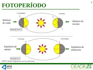 FONTE: Homero Bergamaschi, ano não identificado.
FOTOPERÍODO
8
Equinócio de
outono
Equinócio de
primavera
Solstício
de verão
Solstício de
inverno
 