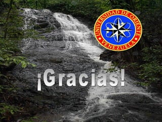 ¡Gracias! 