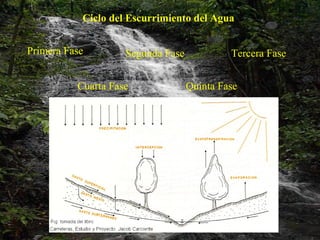 Ciclo del Escurrimiento del Agua Primera Fase Segunda Fase Tercera Fase Cuarta Fase Quinta Fase 