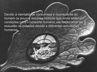 Devido á mentalidade consumista e inconsciente do homem os poucos recursos hídricos que ainda estão em condições para o consumo humano, são explorados até à exaustão ou poluídos devido a diferentes actividades humanas. 