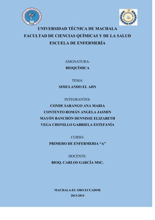 UNIVERSIDAD TÉCNICA DE MACHALA
FACULTAD DE CIENCIAS QUÍMICAS Y DE LA SALUD
ESCUELA DE ENFERMERÍA

ASIGNATURA:
BIOQUÍMICA

TEMA:
SIMULANDO EL ADN

INTEGRANTES:
CONDE SARANGO ANA MARIA
CONTENTO ROMÁN ANGELA JASMIN
MAYÓN BANCHÓN DENNISSE ELIZABETH
VEGA CHONILLO GABRIELA ESTEFANÍA

CURSO:
PRIMERO DE ENFERMERIA “A”

DOCENTE:
BIOQ. CARLOS GARCÍA MSC.

MACHALA-EL ORO ECUADOR
2013-2014

 