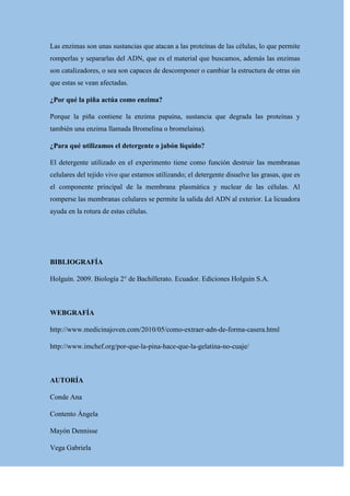 Las enzimas son unas sustancias que atacan a las proteínas de las células, lo que permite
romperlas y separarlas del ADN, que es el material que buscamos, además las enzimas
son catalizadores, o sea son capaces de descomponer o cambiar la estructura de otras sin
que estas se vean afectadas.
¿Por qué la piña actúa como enzima?
Porque la piña contiene la enzima papaína, sustancia que degrada las proteínas y
también una enzima llamada Bromelina o bromelaina).
¿Para qué utilizamos el detergente o jabón líquido?
El detergente utilizado en el experimento tiene como función destruir las membranas
celulares del tejido vivo que estamos utilizando; el detergente disuelve las grasas, que es
el componente principal de la membrana plasmática y nuclear de las células. Al
romperse las membranas celulares se permite la salida del ADN al exterior. La licuadora
ayuda en la rotura de estas células.

BIBLIOGRAFÍA
Holguín. 2009. Biología 2° de Bachillerato. Ecuador. Ediciones Holguín S.A.

WEBGRAFÍA
http://www.medicinajoven.com/2010/05/como-extraer-adn-de-forma-casera.html
http://www.imchef.org/por-que-la-pina-hace-que-la-gelatina-no-cuaje/

AUTORÍA
Conde Ana
Contento Ángela
Mayón Dennisse
Vega Gabriela

 