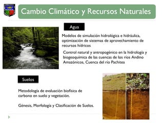 Modelos de simulación hidrológica e hidráulica, optimización de sistemas de aprovechamiento de recursos hídricos Metodología de evaluación biofísica de carbono en suelo y vegetación. Génesis, Morfología y Clasificación de Suelos.  Control natural y antropogénico en la hidrología y biogeoquímica de las cuencas de los ríos Andino Amazónicos, Cuenca del río Pachitea Agua Suelos 