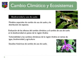 Evaluación de los efectos del cambio climático y el cambio de uso de suelo en la biodiversidad en países de la región Andina Vulnerabilidad a los cambios climáticos de la región Andina en temas de agua, biodiversidad y agricultura  Modelos espaciales de cambio de uso de suelo y de distribución de especies. Estudios históricos de cambio de uso de suelo. Biodiversidad y uso de suelo 