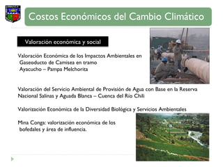 Valoración Económica de los Impactos Ambientales en Gaseoducto de Camisea en tramo Ayacucho – Pampa Melchorita Valoración del Servicio Ambiental de Provisión de Agua con Base en la Reserva Nacional Salinas y Aguada Blanca – Cuenca del Río Chili Valorización Económica de la Diversidad Biológica y Servicios Ambientales  Mina Conga: valorización económica de los bofedales y área de influencia.  Valoración económica y social 