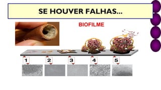 SE HOUVER FALHAS...
BIOFILME
 