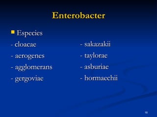 Enterobacter Especies -  cloacae - aerogenes - agglomerans - gergoviae - sakazakii - taylorae - asburiae - hormaechii 