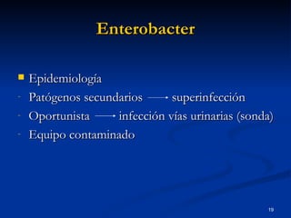 Enterobacter Epidemiología Patógenos secundarios  superinfección Oportunista  infección vías urinarias (sonda) Equipo contaminado 