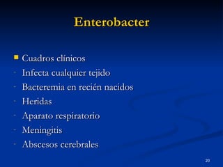 Enterobacter Cuadros clínicos Infecta cualquier tejido Bacteremia en recién nacidos Heridas Aparato respiratorio Meningitis Abscesos cerebrales 