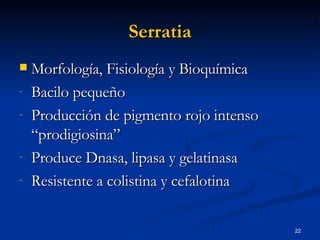 Serratia Morfología, Fisiología y Bioquímica Bacilo pequeño  Producción de pigmento rojo intenso “prodigiosina” Produce Dnasa, lipasa y gelatinasa  Resistente a colistina y cefalotina 