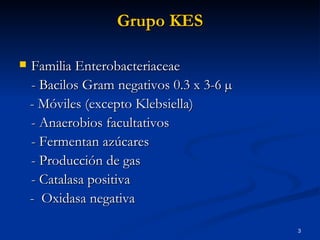 Grupo KES Familia Enterobacteriaceae - Bacilos Gram negativos 0.3 x 3-6 µ - Móviles (excepto Klebsiella) - Anaerobios facultativos - Fermentan azúcares - Producción de gas - Catalasa positiva  -  Oxidasa negativa 