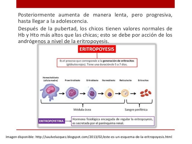Alteraciones de los glóbulos rojos