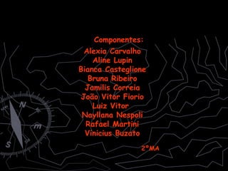 Alexia Carvalho Aline Lupin Bianca Casteglione Bruna Ribeiro Jamilis Correia João Vitor Fiorio Luiz Vitor  Nayllana Nespoli Rafael Martini Vinicius Buzato Componentes: 2ºMA 