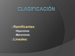 Ramificantes:
Hiponimia:
Meronimia:
Lineales:
 