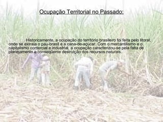Ocupação Territorial no Passado:   Historicamente, a ocupação do território brasileiro foi feita pelo litoral, onde se extraía o pau-brasil e a cana-de-açúcar. Com o mercantilismo e o capitalismo comercial e industrial, a ocupação caracterizou-se pela falta de planejamento e conseqüente destruição dos recursos naturais.  