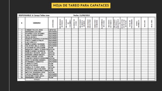 HOJA DE TAREO PARA CAPATACES
 