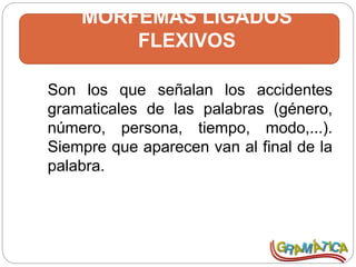 MORFEMAS LIGADOS
FLEXIVOS
Son los que señalan los accidentes
gramaticales de las palabras (género,
número, persona, tiempo, modo,...).
Siempre que aparecen van al final de la
palabra.
 