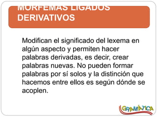 MORFEMAS LIGADOS
DERIVATIVOS
Modifican el significado del lexema en
algún aspecto y permiten hacer
palabras derivadas, es decir, crear
palabras nuevas. No pueden formar
palabras por sí solos y la distinción que
hacemos entre ellos es según dónde se
acoplen.
 