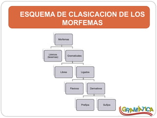 ESQUEMA DE CLASICACION DE LOS
MORFEMAS
Morfemas
Léxicos
(lexemas)
Gramaticales
Libres Ligados
Flexivos Derivativos
Prefijos Sufijos
 