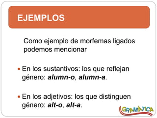 EJEMPLOS
Como ejemplo de morfemas ligados
podemos mencionar
 En los sustantivos: los que reflejan
género: alumn-o, alumn-a.
 En los adjetivos: los que distinguen
género: alt-o, alt-a.
 
