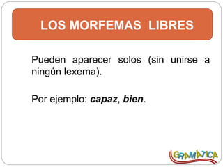 LOS MORFEMAS LIBRES
Pueden aparecer solos (sin unirse a
ningún lexema).
Por ejemplo: capaz, bien.
 