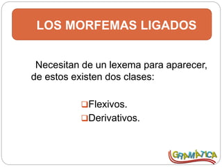 LOS MORFEMAS LIGADOS
Necesitan de un lexema para aparecer,
de estos existen dos clases:
Flexivos.
Derivativos.
 
