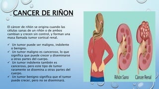 CANCER DE RIÑON
El cáncer de riñón se origina cuando las
células sanas de un riñón o de ambos
cambian y crecen sin control, y forman una
masa llamada tumor cortical renal.
 Un tumor puede ser maligno, indolente
o benigno.
 Un tumor maligno es canceroso, lo que
significa que puede crecer y diseminarse
a otras partes del cuerpo.
 Un tumor indolente también es
canceroso, pero este tipo de tumor
raramente se disemina a otras partes del
cuerpo.
 Un tumor benigno significa que el tumor
puede crecer, pero no se diseminará.
 