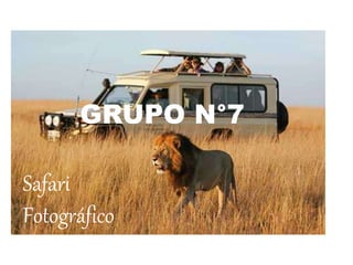 2018
Safari
Fotográfico
GRUPO N°7
 