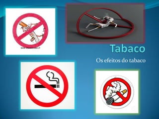 Tabaco  Os efeitos do tabaco 