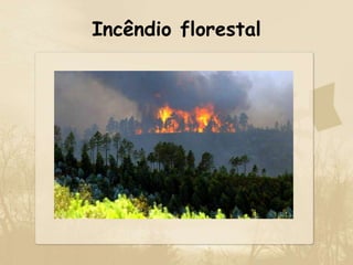 Incêndio florestal