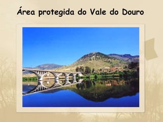 Área protegida do Vale do Douro