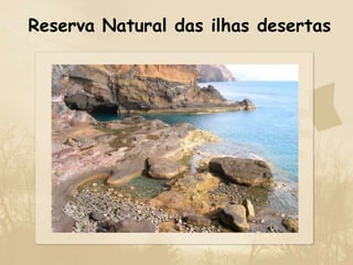 Reserva Natural das ilhas desertas