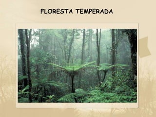 FLORESTA TEMPERADA