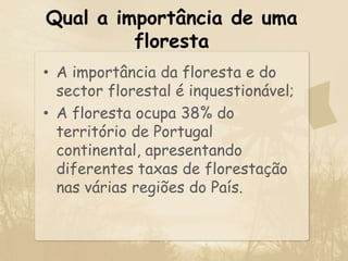 Qual a importância de uma florestaA importância da floresta e do sector florestal é inquestionável;A floresta ocupa 38% do território de Portugal continental, apresentando diferentes taxas de florestação nas várias regiões do País.