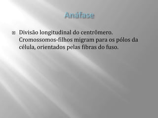    Divisão longitudinal do centrômero.
    Cromossomos-filhos migram para os pólos da
    célula, orientados pelas fibras do fuso.
 