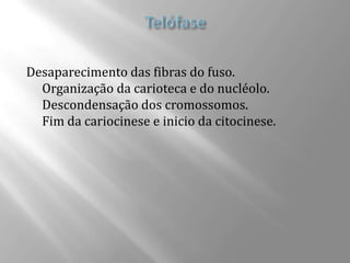 Desaparecimento das fibras do fuso.
  Organização da carioteca e do nucléolo.
  Descondensação dos cromossomos.
  Fim da cariocinese e inicio da citocinese.
 
