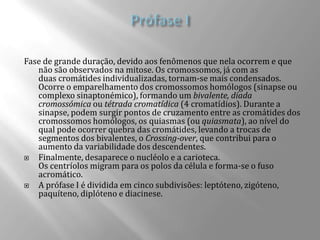 Fase de grande duração, devido aos fenômenos que nela ocorrem e que
   não são observados na mitose. Os cromossomos, já com as
   duas cromátides individualizadas, tornam-se mais condensados.
   Ocorre o emparelhamento dos cromossomos homólogos (sinapse ou
   complexo sinaptonémico), formando um bivalente, díada
   cromossómica ou tétrada cromatídica (4 cromatídios). Durante a
   sinapse, podem surgir pontos de cruzamento entre as cromátides dos
   cromossomos homólogos, os quiasmas (ou quiasmata), ao nível do
   qual pode ocorrer quebra das cromátides, levando a trocas de
   segmentos dos bivalentes, o Crossing-over, que contribui para o
   aumento da variabilidade dos descendentes.
  Finalmente, desaparece o nucléolo e a carioteca.
   Os centríolos migram para os polos da célula e forma-se o fuso
   acromático.
  A prófase I é dividida em cinco subdivisões: leptóteno, zigóteno,
   paquíteno, diplóteno e diacinese.
 