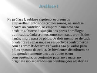 Na prófase I, subfase zigóteno, ocorrem os
  emparelhamentos dos cromossomos; na anáfase I
  ocorre ao contrário, os emparelhamentos são
  desfeitos. Ocorre disjunção dos pares homólogos
  duplicados. Cada cromossomo, com suas cromátides-
  irmãs, migra para os pólos. Os dois membros de cada
  bivalente se separam, e os respectivos centrômeros
  com as cromátides irmãs fixadas são puxados para
  pólos opostos da célula. Os bivalentes distribuem-se
  independentemente uns dos outros e, em
  consequência, os conjuntos paterno e materno
  originais são separados em combinações aleatórias.
 