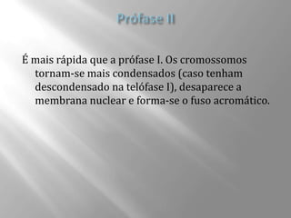 É mais rápida que a prófase I. Os cromossomos
  tornam-se mais condensados (caso tenham
  descondensado na telófase I), desaparece a
  membrana nuclear e forma-se o fuso acromático.
 