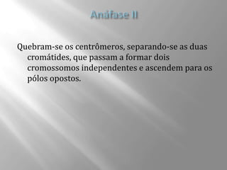 Quebram-se os centrômeros, separando-se as duas
  cromátides, que passam a formar dois
  cromossomos independentes e ascendem para os
  pólos opostos.
 