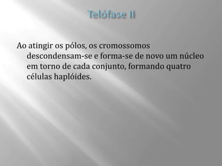 Ao atingir os pólos, os cromossomos
  descondensam-se e forma-se de novo um núcleo
  em torno de cada conjunto, formando quatro
  células haplóides.
 