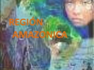 REGIÓN
AMAZONICA
 