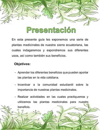 Grupo 1. Plantas Medicinales Región-Sierra
