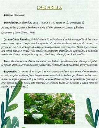 Grupo 1. Plantas Medicinales Región-Sierra