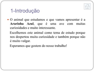 1-Introdução
 O animal que estudamos e que vamos apresentar é a
 Ararinha Azul, que é uma ave com muitas
 curiosidades e muito interessante.
 Escolhemos este animal como tema de estudo porque
 nos despertou muita curiosidade e também porque não
 é muito vulgar.
 Esperamos que gostem do nosso trabalho!
 