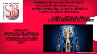 UNIVERSIDAD PRIVADA SAN JUAN BAUTISTA
FACULTAD DE CIENCIAS DE LA SALUD
ESCUELA PROFESIONAL DE TECNOLOGÍA MÉDICA
CURSO: COMUNICACIÓN EN SALUD
TEMA: COMPONENTES DEL
SISTEMA NERVIOSO PERIFERICO
INTEGRANTES:
-VELASQUEZ ROJAS CAMILA LUCY
-PINEDA CORTEZ, ROMINA VALERIA
-PEÑA GARCIA ,LUIS GUILLERMO
-PALOMINO MANSILLA JOHANN
DANIEL
 