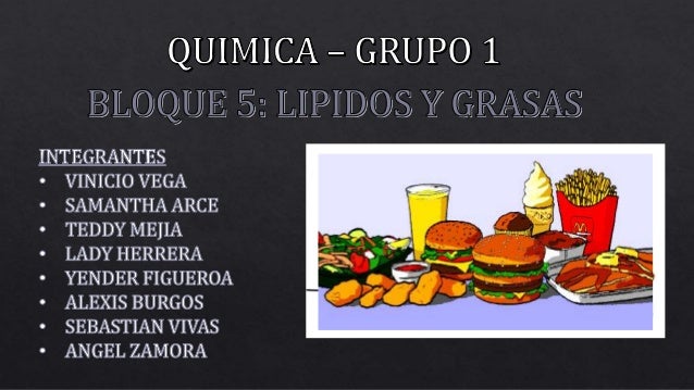 LIPIDOS Y GRASAS